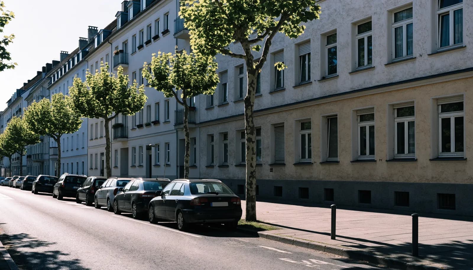 Ruhige Kölner Wohnstraße mit Altbaufassaden, Platanen und parkenden Autos am Bordstein